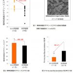 ビフィズス菌で精神状態の改善効果?こんなの表彰しても良いの?