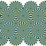 ネコは錯視画「蛇の回転」に騙されるのか?
