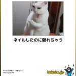 「ボケて(bokete)」の紹介