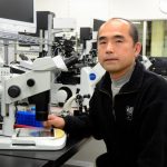 おもしろいけど怪しい話――「小保方さんハメられ説」