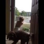 Toddler and dog – Daddy’s home!