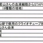 STAP細胞、関与否定の若山教授の血を使って実験していたからと言って、、、