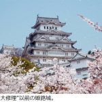 “白い”姫路城、「白さぎ」というよりも「白すぎ」