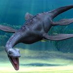 海生爬虫類:首長竜と魚竜は恒温動物? 歯の化石から体温推計