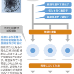 iPSから血小板量産、献血頼らず輸血