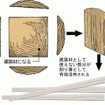 割り箸の使用は自然破壊なのかエコなのか?