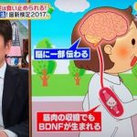 運動は認知症の進行を遅らせることはできない