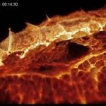 生きた細胞内の高精細3D映像化に成功
