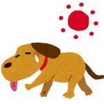 イヌの熱中症リスクについて