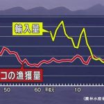激減のタコ 不可能だった養殖を実現へ…それで解決か?