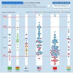 高カロリーなのはファストフードだけではない