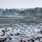 氷河の河口で発生した大波