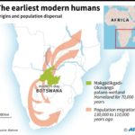 現生人類、ボツワナで20万年前に誕生