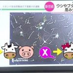 TLR7受容体刺激薬を用いた♂♀産み分けの新技術