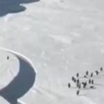 Leap Of Faith(不確実だが成功を信じて)思い切ってとる行動