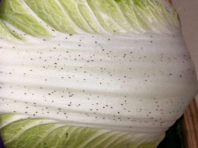 私の胸にある黄色い斑点は何ですか?