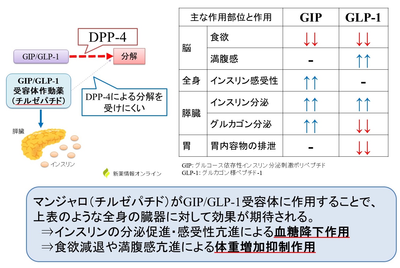 チルゼパチドの血糖降下・体重減少作用はセマグルチドを上回る | 薬理学などなどなど。