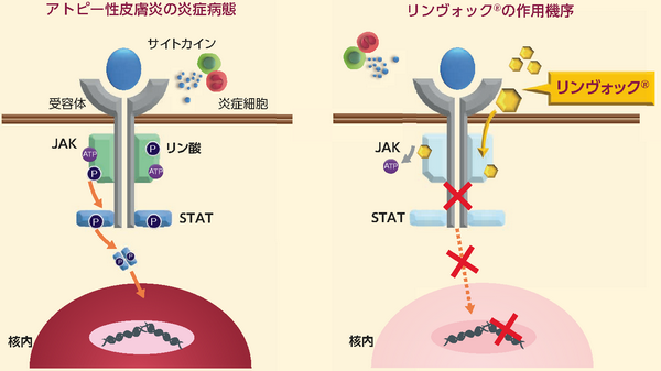 8. 時には、薬だけで食事になってしまうほど、たくさんの薬を服用していることもあります。