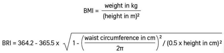 体丸み指数（body Roundness Index；BRI） | 薬理学などなどなど。